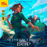 Чёрный сектор. Вор