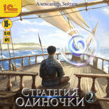 Стратегия одиночки. Книга 2
