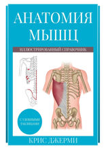 Анатомия мышц. Иллюстрированный справочник