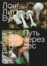 Путь через лес. О грибах и скорби