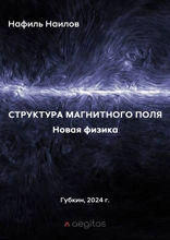 Структура магнитного поля. Новая физика