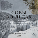 Совы во льдах. Как спасали самого большого филина в мире