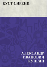 Куст сирени