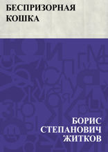 Беспризорная кошка