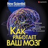 Как работает ваш мозг. Внутри самого сложного объекта во Вселенной