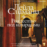 Страна других. Книга первая. Рождество под кипарисами