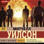 Живи с молнией. Книга 3