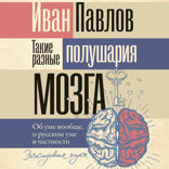 Такие разные полушария мозга. Об уме вообще, о русском уме в частности