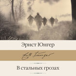В стальных грозах