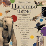 Царство игры