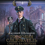 Господин следователь. Смерть на обочине