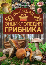 Большая энциклопедия грибника