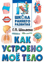 Как устроено мое тело