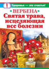 Вербена — святая трава, исцеляющая все болезни