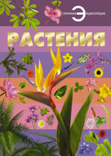 Растения
