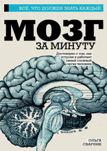 Мозг за минуту