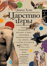 Царство игры