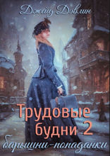 Трудовые будни барышни попаданки. Книга 2