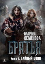 Братья. Книга 1. Тайный воин