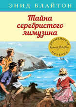 Знаменитая пятерка. Книга 14. Тайна серебристого лимузина