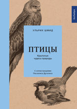 Птицы: Крылатые чудеса природы
