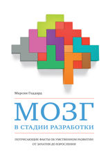 Мозг в стадии разработки: Потрясающие факты о развитии мозга от зачатия до взрослости