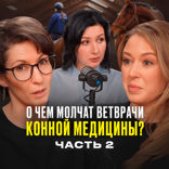 О чём молчат ветврачи конной спортивной медицины. Часть 2