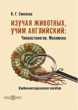 Изучая животных, учим английский. Членистоногие. Моллюски