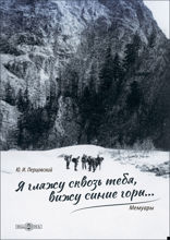 Я гляжу сквозь тебя, вижу синие горы…