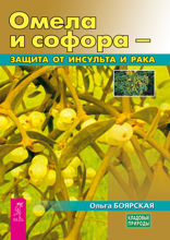 Омела и софора — защита от инсульта и рака