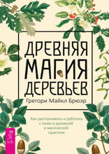 Древняя магия деревьев. Как распознавать и работать с ними в духовной и магической практике