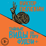 Тайные виды на гору Фудзи + бонус-трек "Столыпин"
