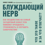 Блуждающий нерв. Что это такое и за что отвечает? Как воздействие на самый загадочный канал тела поможет преодолеть тревожность и улучшить самочувстви