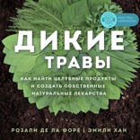 Дикие травы: как найти целебные продукты и создать собственные натуральные лекарства