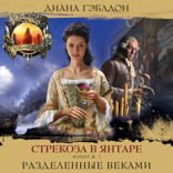 Стрекоза в янтаре. Книга 1. Разделенные веками