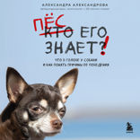 Пес его знает! Что в голове у собаки, и как понять причины ее поведения