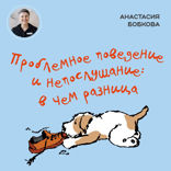 Проблемное поведение и непослушание: в чем разница