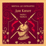 Дон Кихот