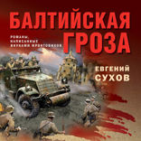 Балтийская гроза
