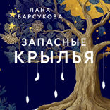 Запасные крылья