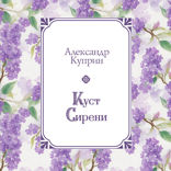 Куст сирени