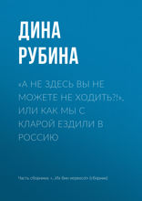 «А не здесь вы не можете не ходить?», или Как мы с Кларой ездили в Россию