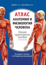 Атлас. Анатомия и физиология человека: полное практическое пособие