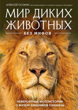 Мир диких животных без мифов. Невероятные фото-истории о жизни хищников саванны