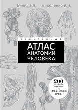 Популярный атлас анатомии человека. 200 классических иллюстраций из «Анатомии Грея»