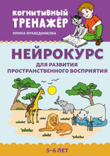 Нейрокурс для развития пространственного восприятия. 5-6 лет