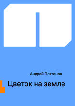 Цветок на земле