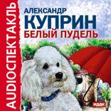 Белый пудель