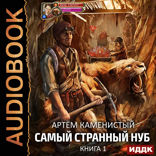 Самый странный нуб. Книга 1