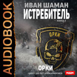 100 лет апокалипсиса. Истребитель. Книга 2. Орки